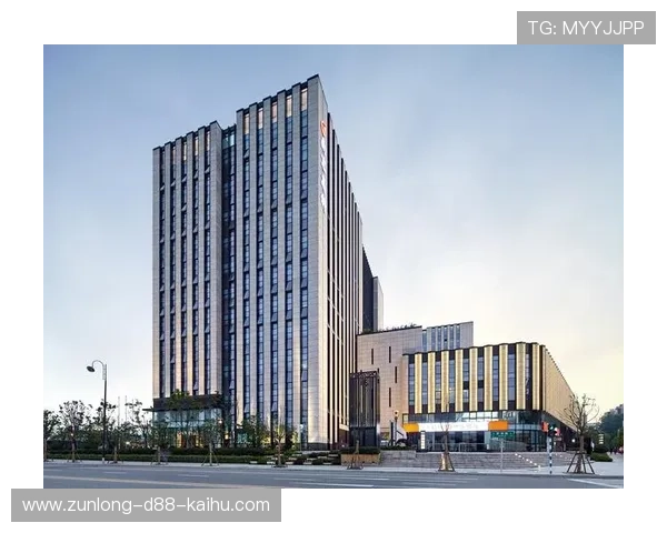 凯时尊龙网址官方入口导航，提供最全的登录渠道与安全保障